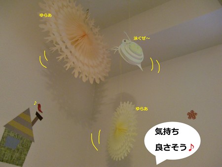 ミジンコ8