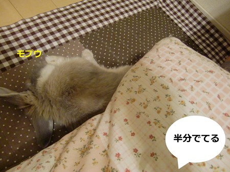 すきまっち2
