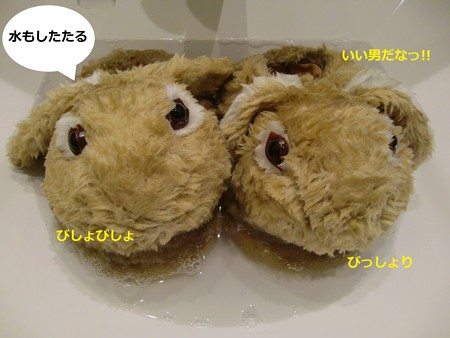 すりっぱ2