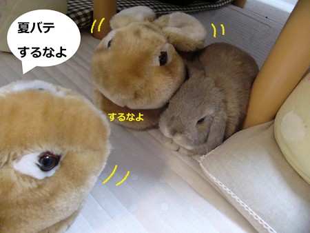 すりっぱ5