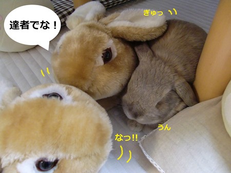 すりっぱ6