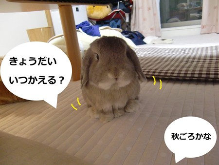 ともだち1