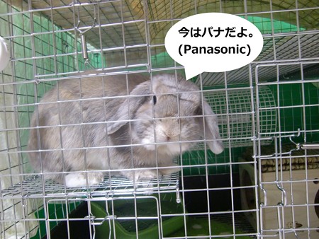あ4