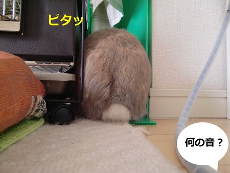 いたずら3