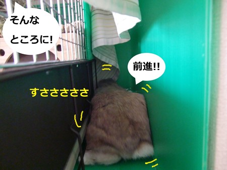 いたずら4