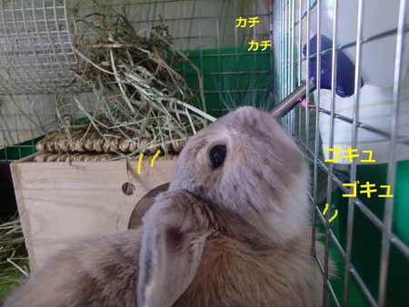 暑いな1