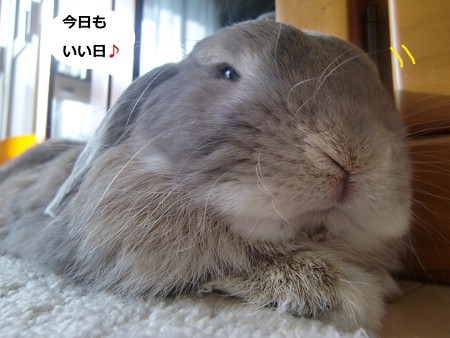 暑いな4