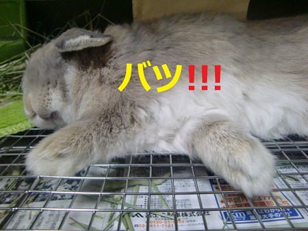 あ2