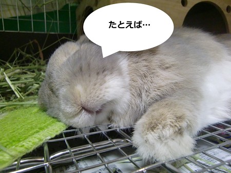 あ4
