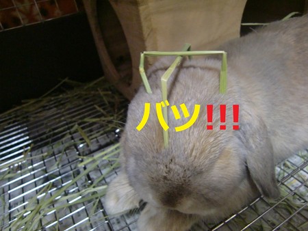 あ2