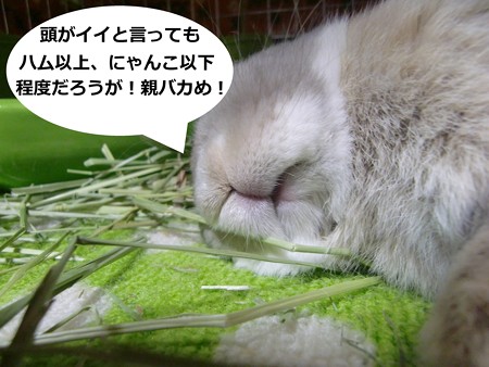 あ3
