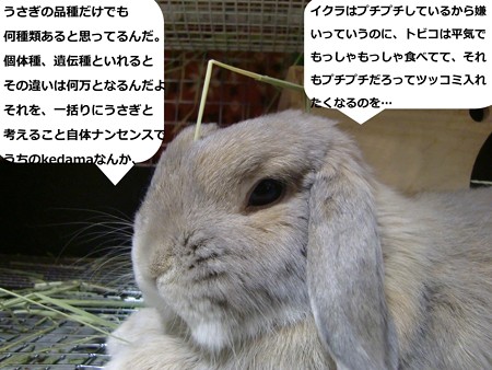ニセ先生2