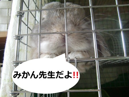 あ3