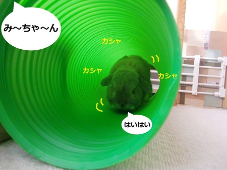 遊ぼう1