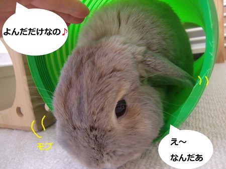 遊ぼう3