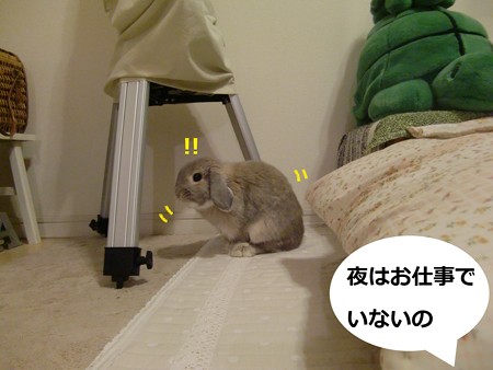 そうなの?1
