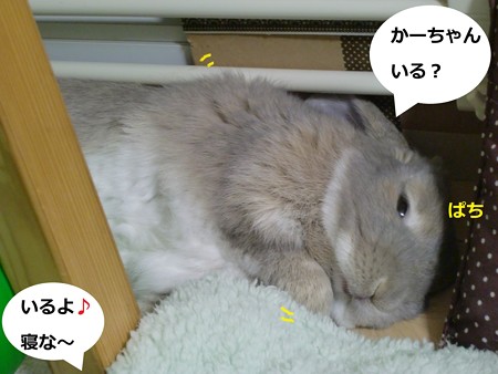 おやすみ2