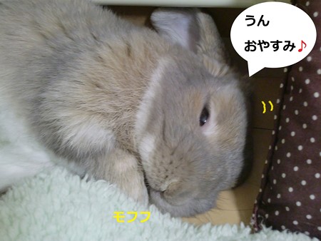 おやすみ3