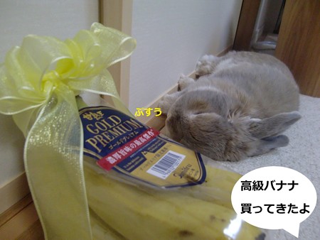 5歳1