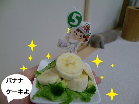 5歳2