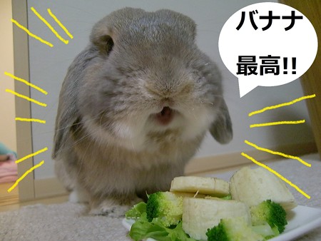 5歳8
