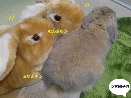 ぽかぽか2
