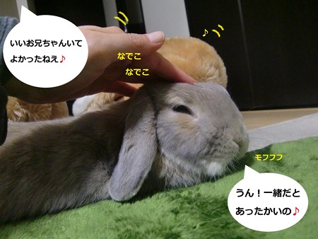 ぽかぽか4