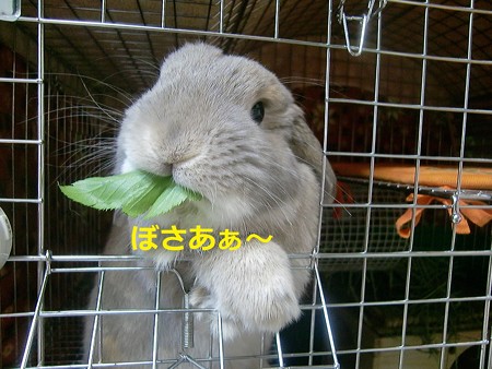 あ4