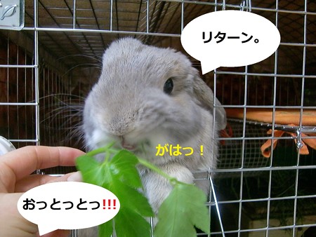 あ6