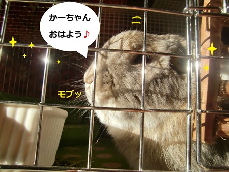 おはよ3