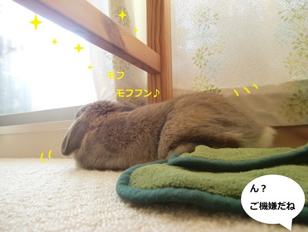 おはよ4