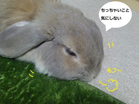 ねぐせ3