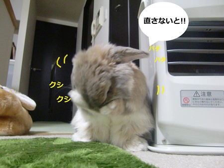 ねぐせ5