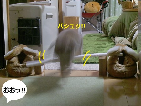 遊ぶ4