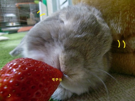 いちご4