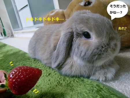 いちご6