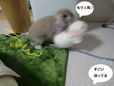 もこみ3