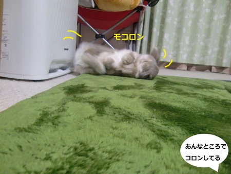 あんよ1