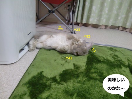 あんよ2
