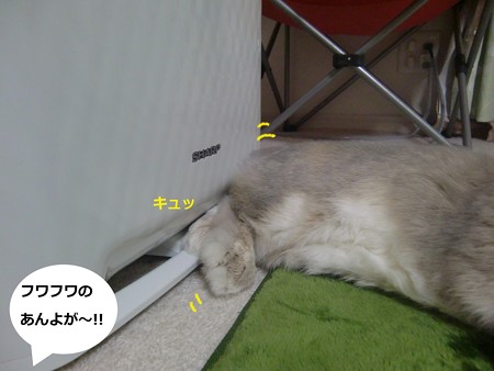 あんよ4
