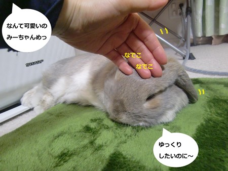 あんよ5