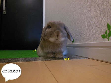 段差1