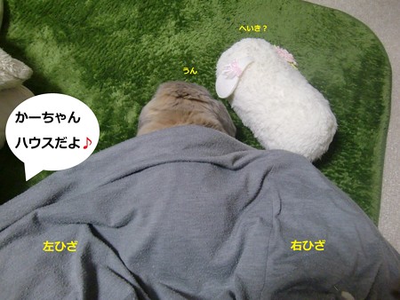 囲む2