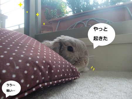 おはよう1