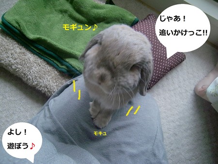 おはよう4