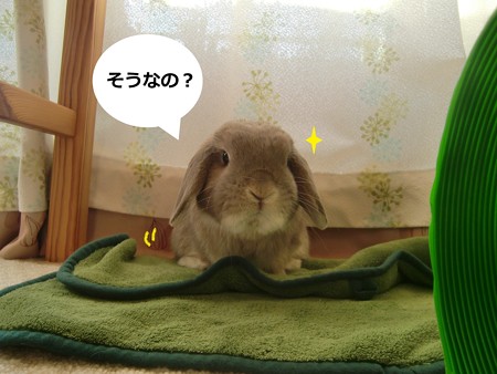 イケア4
