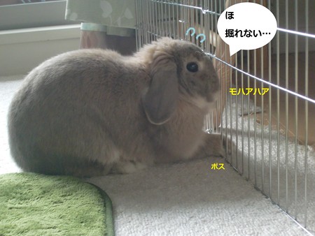 企む5