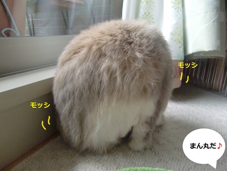 しぐさ4