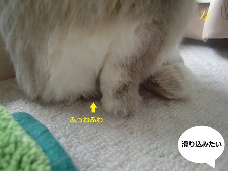しぐさ5