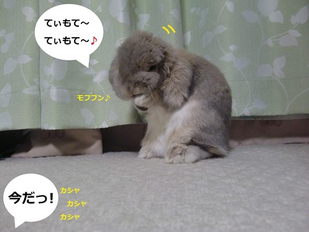 みつけた3